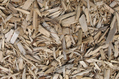 biomass boilers Bridestowe